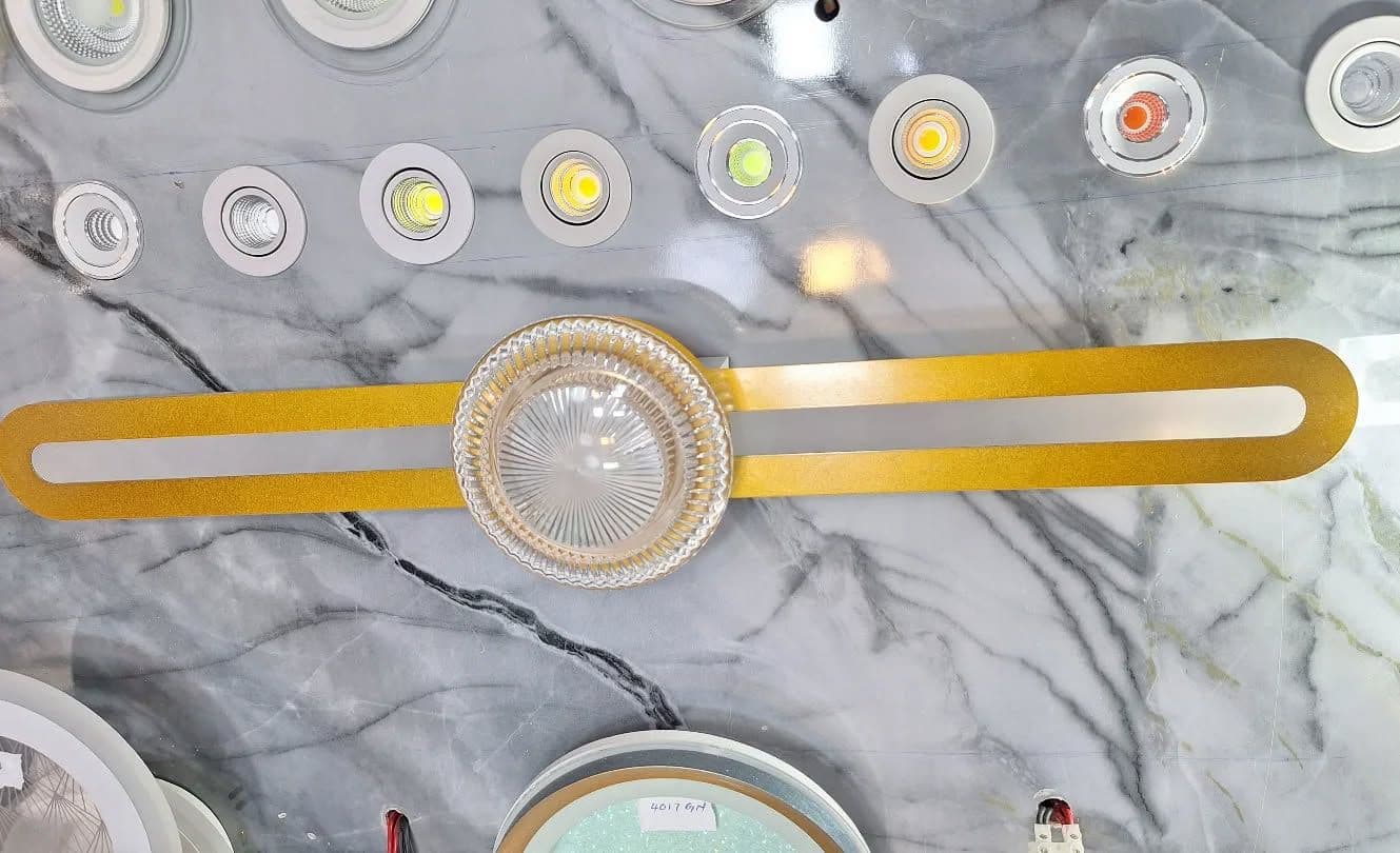 Modern Gold Oval LED Wall Light