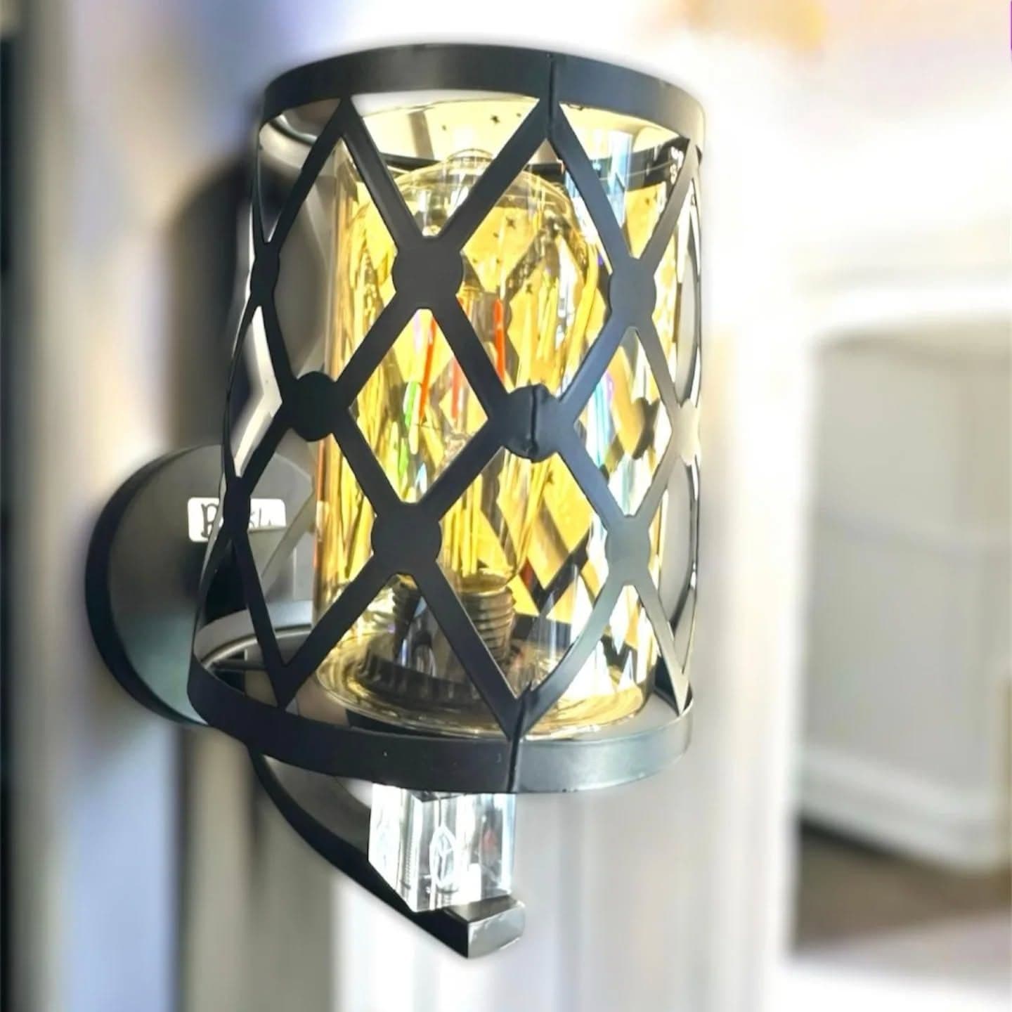 Industrial Black Metal Cage Edison Bulb Wall Light