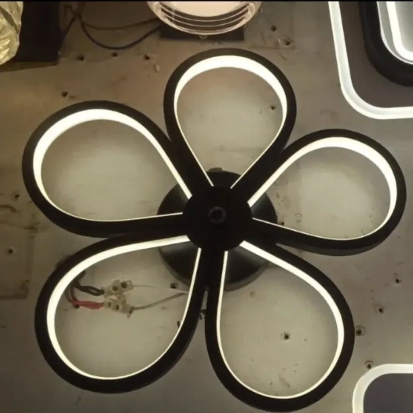 Modern Black and White Flower-Shaped LED Wall Light