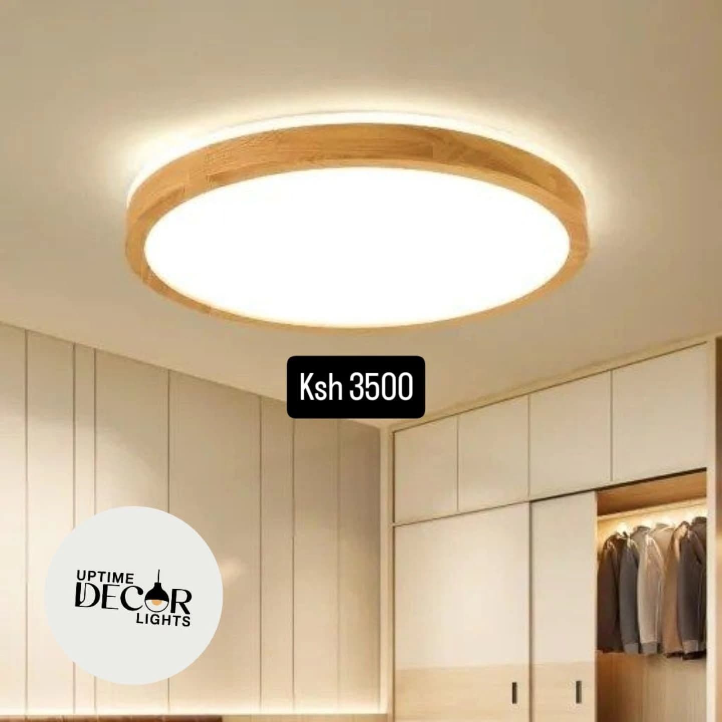 Modern Natural Wood and White LED Circular Downlighter
