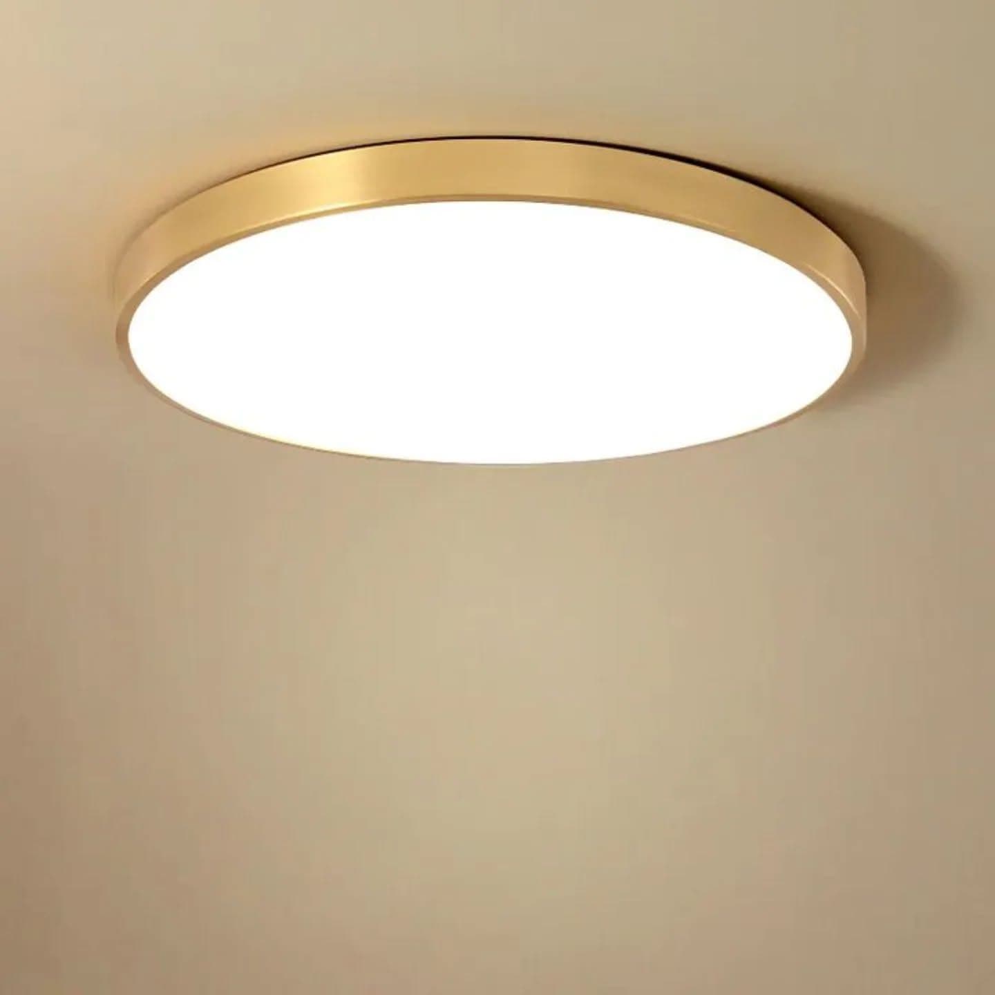 Modern Gold LED Flush Mount Downlighter