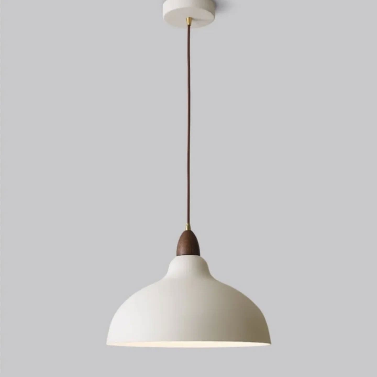 Minimalist White and Wood Dome Pendant Light