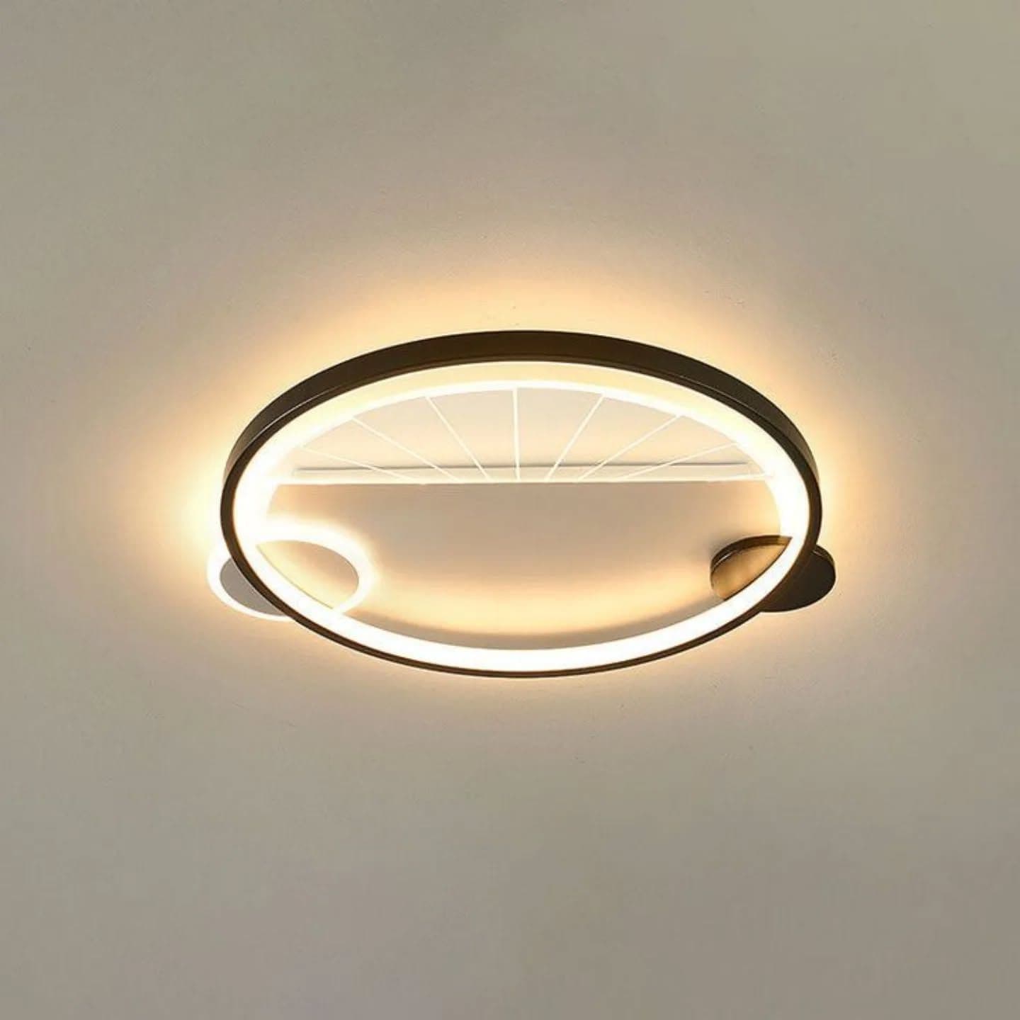 Modern Black Oval LED Ring Ceiling Light