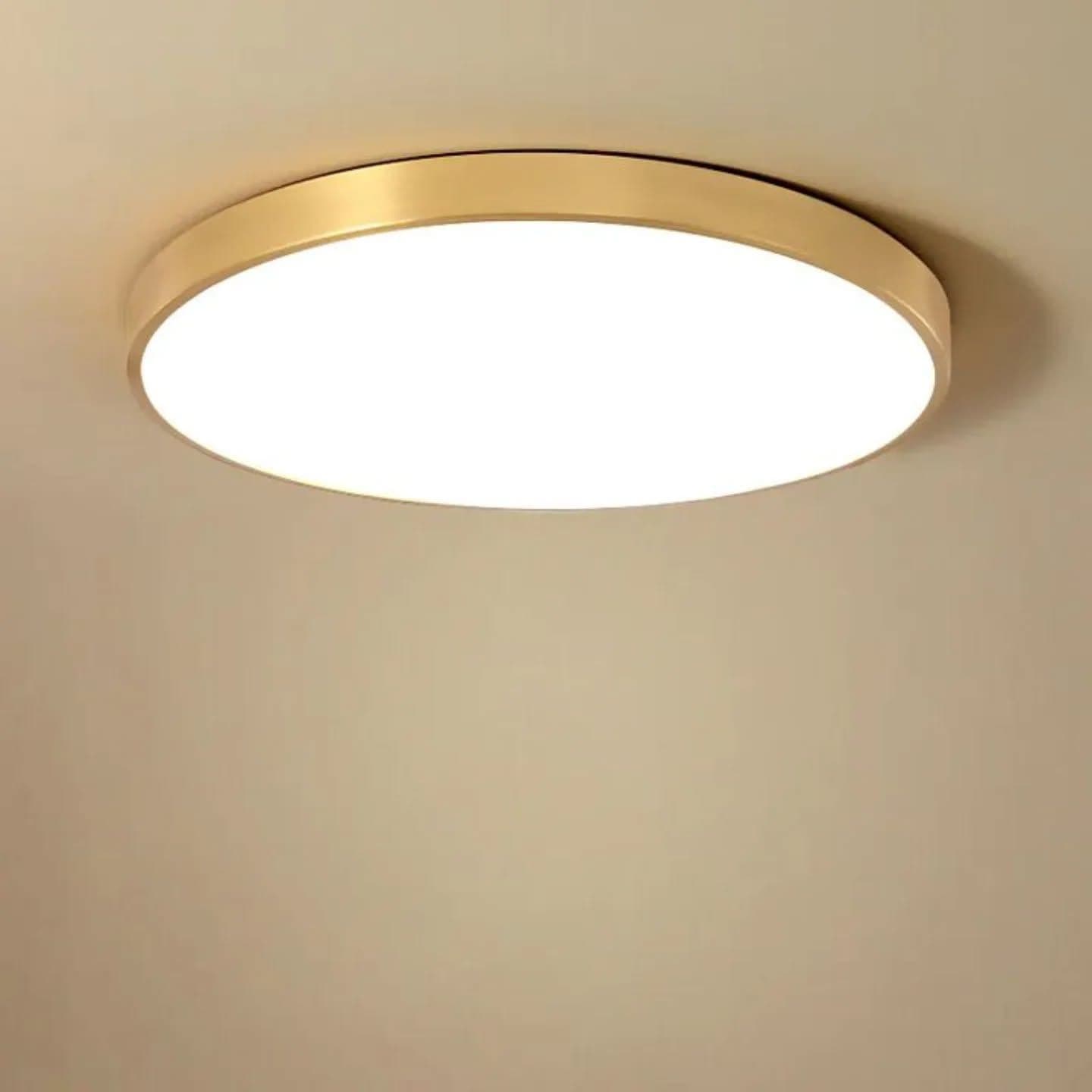 Modern Gold Flush Mount LED Ceiling Light